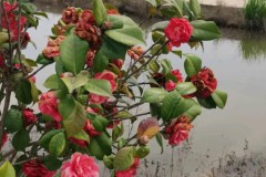 巴塞罗那B队绝杀圣安德鲁：15年宿敌重逢精彩对决